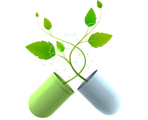 medicine_flower_mid